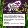Big Plant Seaweed Extract Liquid Feed - Image 2