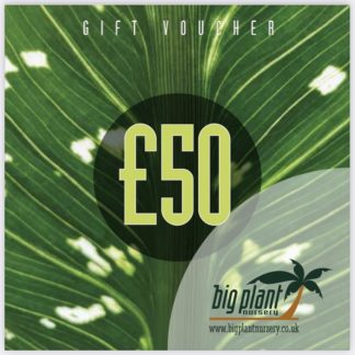 £50 Big Plant Nursery Gift Voucher