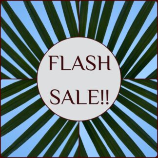 FLASH SALE