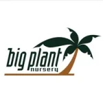 BIG PLANT NURSERY